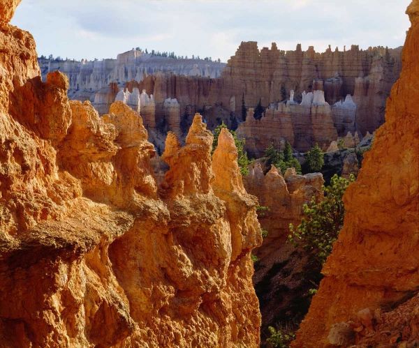 Utah, Bryce Canyon NP Sandstone formations